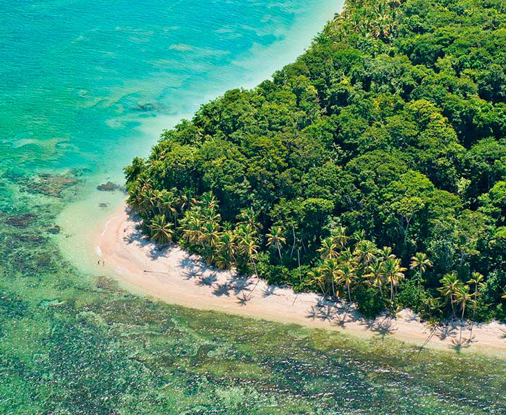 Hike and Snorkel in Cahuita Gandoca Tours