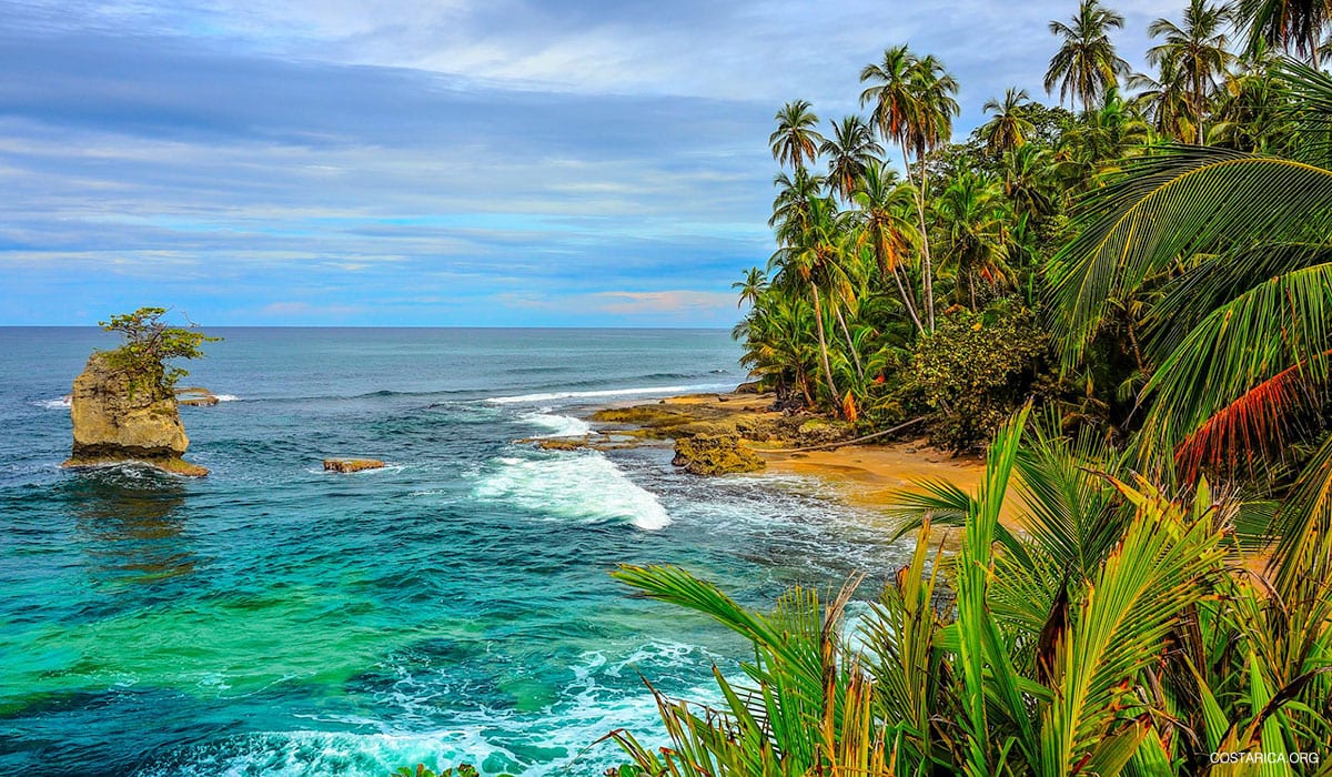 Hike in Manzanillo Gandoca Tours