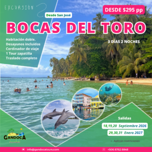 excursión, bocas, grupos
